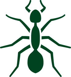 green illustrative icon of an ant for Valley Pest Solutions