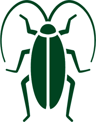 green illustrative icon of a cockroach for Valley Pest Solutions