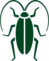 Roach Icon