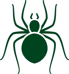 Spider Icon