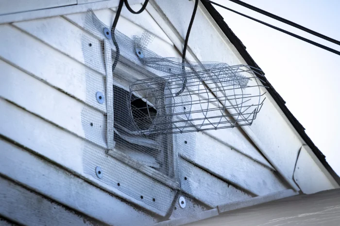 https://www.valleypestsolutions.com/wp-content/uploads/2026/07/rodent-mesh.webp